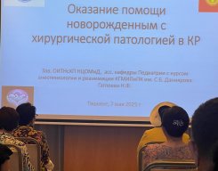 галерея